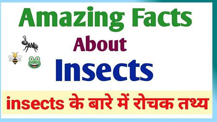 Amazing Facts in Hindi About Daily Life