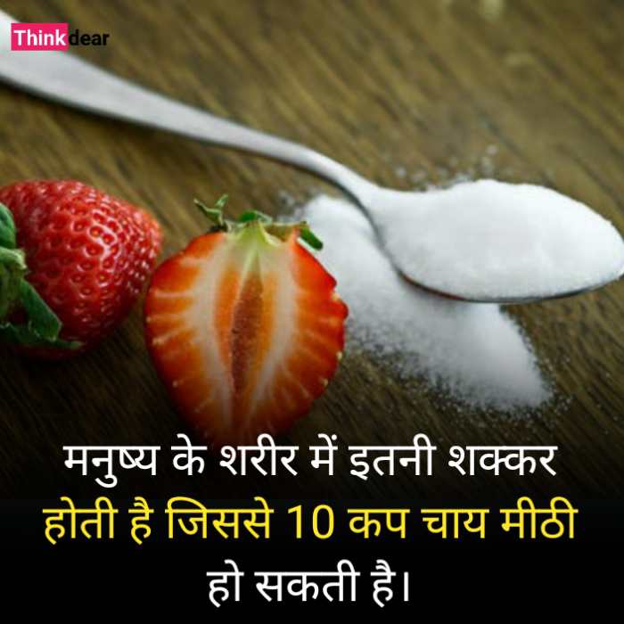 50+ हैरान कर देने वाले रोचक तथ्य - Amazing Fact in Hindi