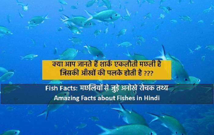 Amazing Facts About Animals in Hindi 1