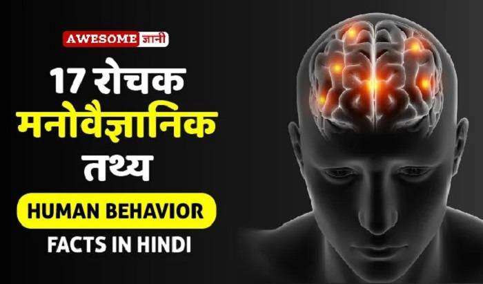 Human Brain Facts in Hindi