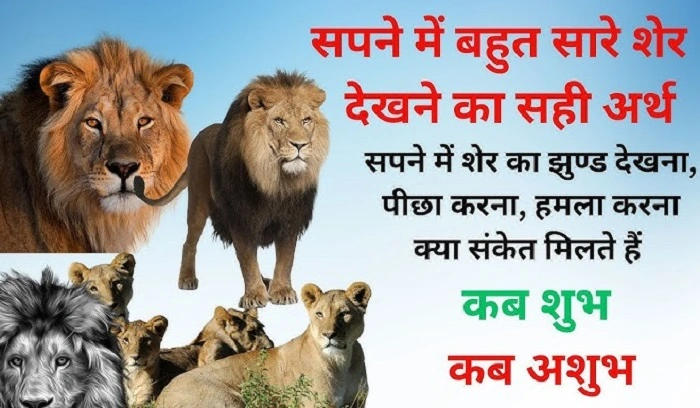 इस शेर का मतलब क्या है 1