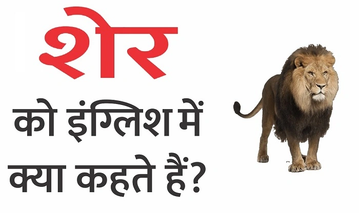 इस शेर का मतलब क्या है 3