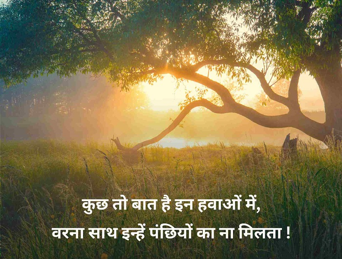 प्राकृतिक सौंदर्य के साथ सुप्रभात संदेश