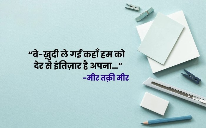 मीर तकी मीर की शायरी का महत्व
