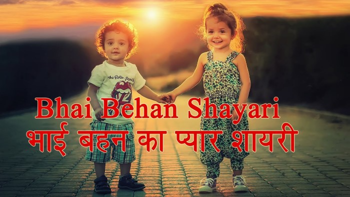 Cute Bhai Behan Shayari