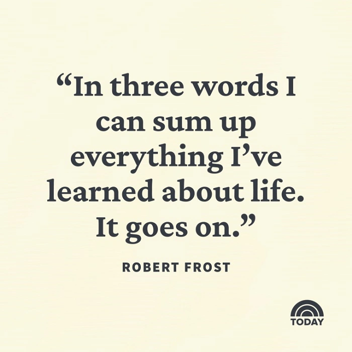 Everyday Pain Lifes Hidden Struggles in 2 Lines