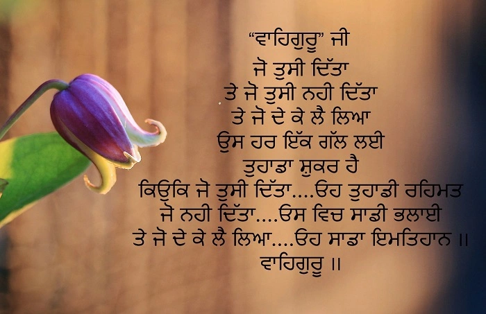 Punjabi Attitude Shayari in Hindi