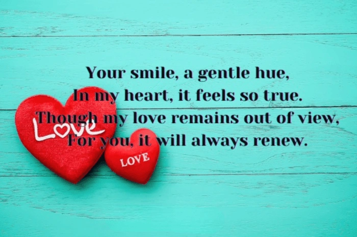 Shayari on Unspoken Love