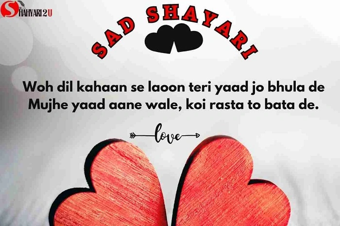 Shayari on the Pain of Separation
