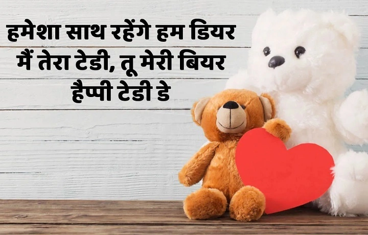 मेरी जान तू मेरा टेडी बियर शायरी: जब प्यार हो क्यूट अंदाज़ में meri jaan tu mera teddy bear shayari 1