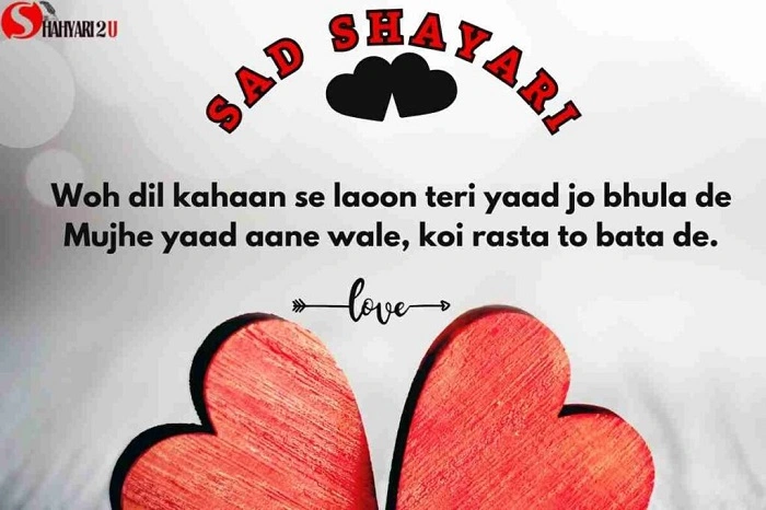 Shayari in English: Expressing Emotions Through Heartfelt Verses shayari in english