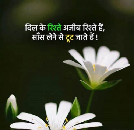 💞 Emotional Rishte Shayari