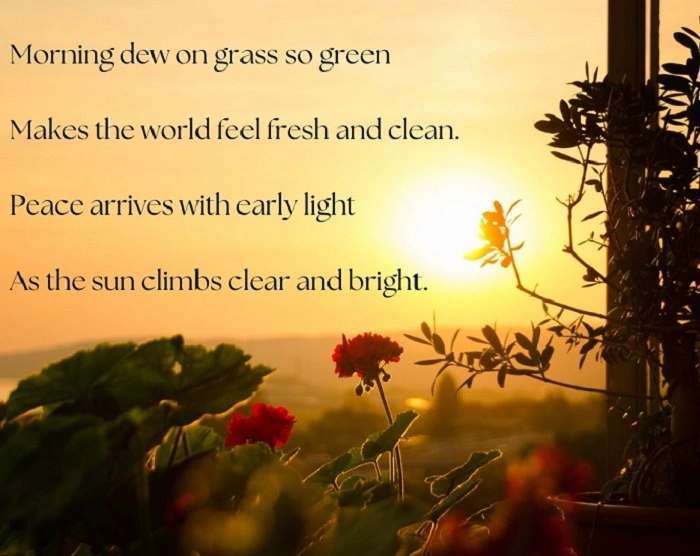 Shayari That Captures the Essence of Evening