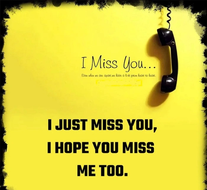 💬 Short Miss You Love Shayari for Status