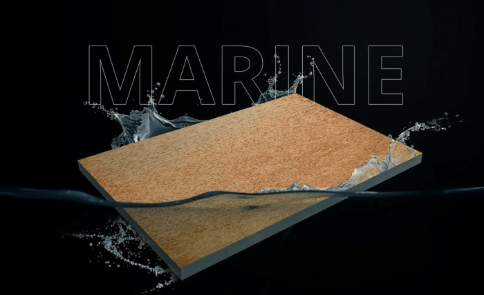 5 Common Myths About Marine Plywood Sheets Debunked Screenshot 1 6