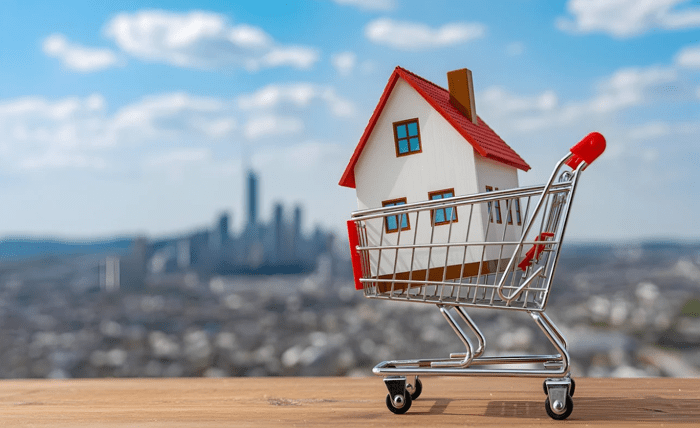 Avoiding Common Mistakes: First-Time Home Seller Advice Screenshot 22